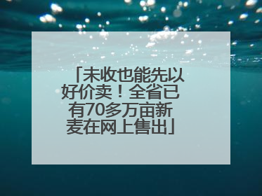 未收也能先以好价卖！全省已有70多万亩新麦在网上售出