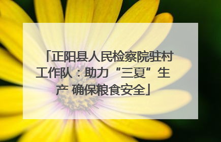 正阳县人民检察院驻村工作队：助力“三夏”生产 确保粮食安全
