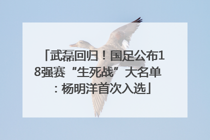武磊回归！国足公布18强赛“生死战”大名单：杨明洋首次入选