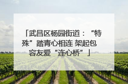 武昌区杨园街道：“特殊”踏青心相连 架起包容友爱“连心桥”