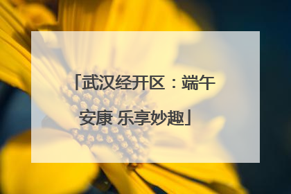 武汉经开区：端午安康 乐享妙趣