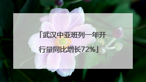 武汉中亚班列一年开行量同比增长72%