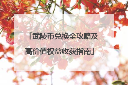武陵币兑换全攻略及高价值权益收获指南