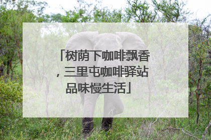 树荫下咖啡飘香，三里屯咖啡驿站品味慢生活