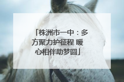 株洲市一中：多方聚力护征程 暖心相伴助梦圆
