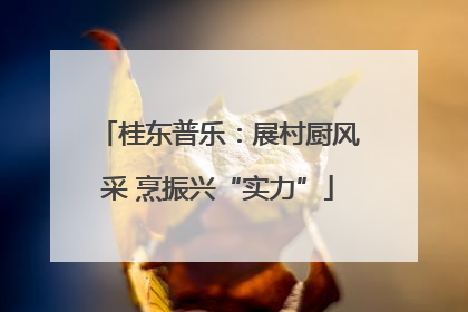 桂东普乐：展村厨风采 烹振兴“实力”