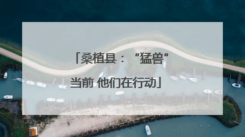 桑植县：“猛兽”当前 他们在行动