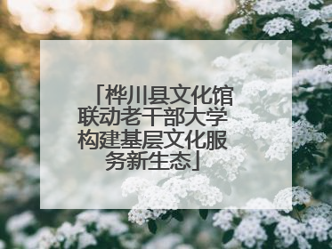 桦川县文化馆联动老干部大学构建基层文化服务新生态