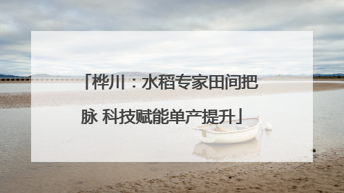 桦川：水稻专家田间把脉 科技赋能单产提升
