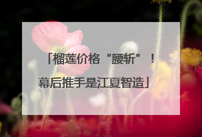 榴莲价格“腰斩”！幕后推手是江夏智造