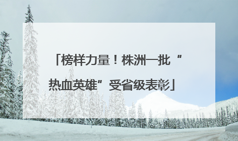 榜样力量！株洲一批“热血英雄”受省级表彰