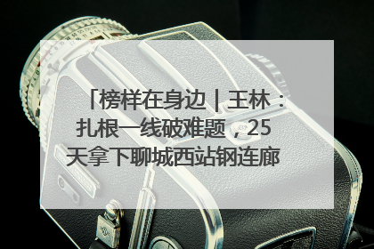 榜样在身边｜王林：扎根一线破难题，25天拿下聊城西站钢连廊“硬核”工程