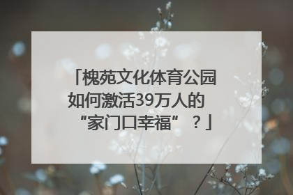 槐苑文化体育公园如何激活39万人的“家门口幸福”？
