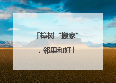 樟树“搬家”，邻里和好