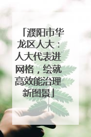 濮阳市华龙区人大：人大代表进网格，绘就高效能治理新图景