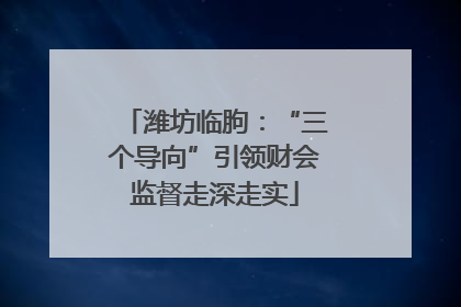 潍坊临朐：“三个导向”引领财会监督走深走实
