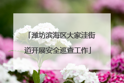 潍坊滨海区大家洼街道开展安全巡查工作