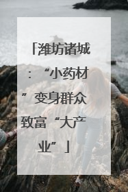 潍坊诸城：“小药材”变身群众致富“大产业”