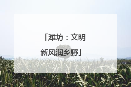 潍坊：文明新风润乡野