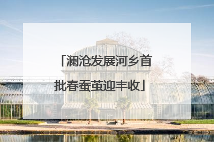澜沧发展河乡首批春蚕茧迎丰收