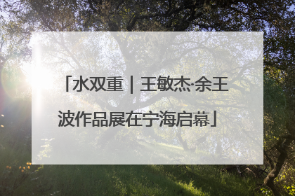 水双重｜王敏杰·余王波作品展在宁海启幕