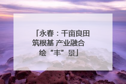 永春：千亩良田筑根基 产业融合绘“丰”景