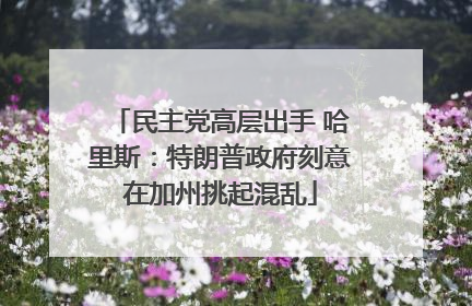 民主党高层出手 哈里斯：特朗普政府刻意在加州挑起混乱