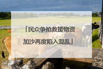 民众争抢救援物资 加沙再度陷入混乱