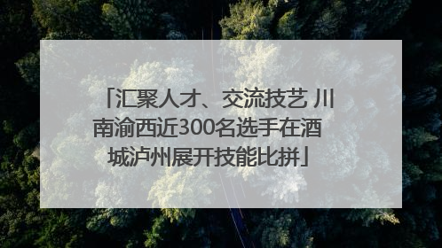 汇聚人才、交流技艺 川南渝西近300名选手在酒城泸州展开技能比拼