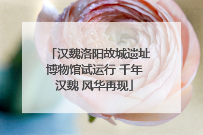 汉魏洛阳故城遗址博物馆试运行 千年汉魏 风华再现