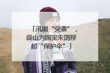 汛期“突袭”，崀山为国宝朱鹮撑起“保护伞”