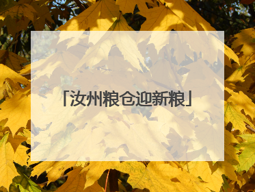 汝州粮仓迎新粮
