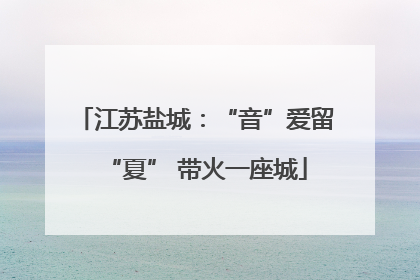 江苏盐城：“音”爱留“夏” 带火一座城
