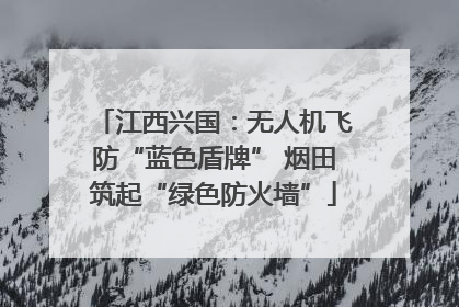 江西兴国：无人机飞防“蓝色盾牌” 烟田筑起“绿色防火墙”