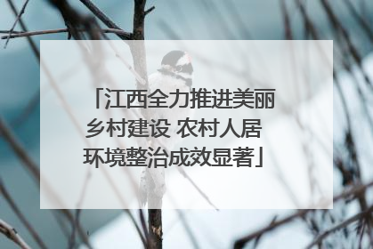 江西全力推进美丽乡村建设 农村人居环境整治成效显著