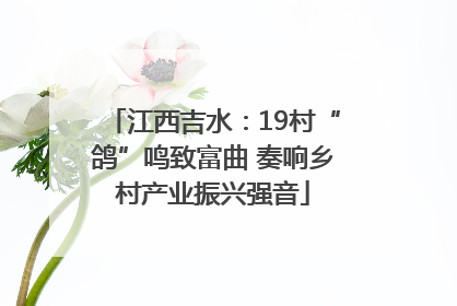 江西吉水：19村“鸽”鸣致富曲 奏响乡村产业振兴强音