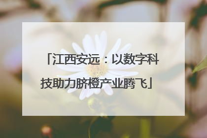 江西安远：以数字科技助力脐橙产业腾飞