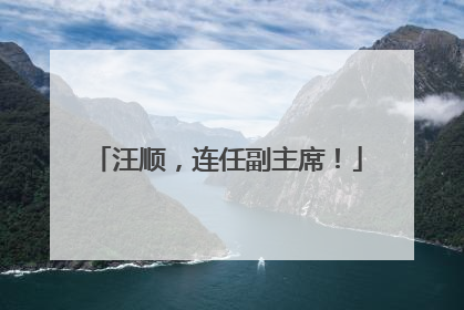 汪顺，连任副主席！