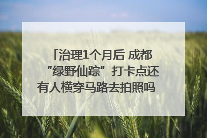 治理1个月后 成都“绿野仙踪”打卡点还有人横穿马路去拍照吗？｜民情瞭望