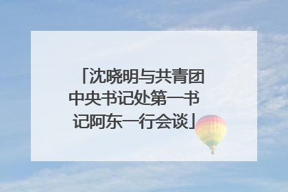 沈晓明与共青团中央书记处第一书记阿东一行会谈