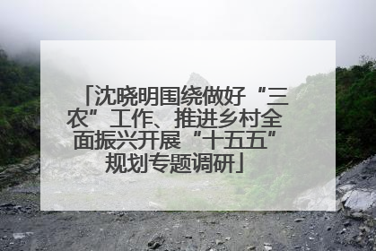 沈晓明围绕做好“三农”工作、推进乡村全面振兴开展“十五五”规划专题调研