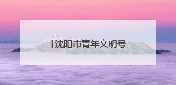 沈阳市青年文明号开放日活动举办
