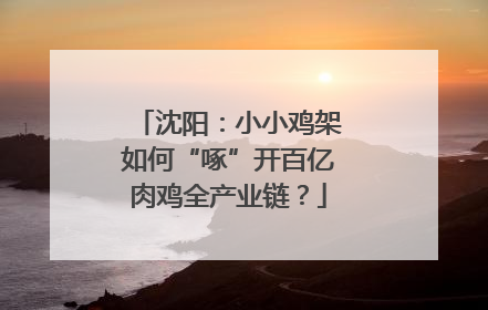 沈阳：小小鸡架如何“啄”开百亿肉鸡全产业链？