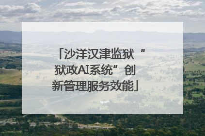 沙洋汉津监狱“狱政AI系统”创新管理服务效能