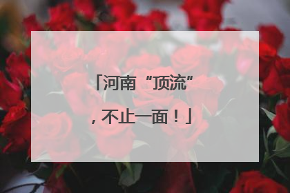 河南“顶流”，不止一面！