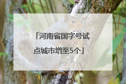 河南省国字号试点城市增至5个