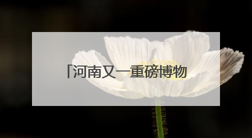 河南又一重磅博物馆将开馆试运行