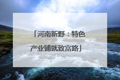 河南新野：特色产业铺就致富路