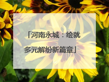 河南永城：绘就多元解纷新篇章