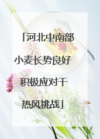 河北中南部小麦长势良好 积极应对干热风挑战